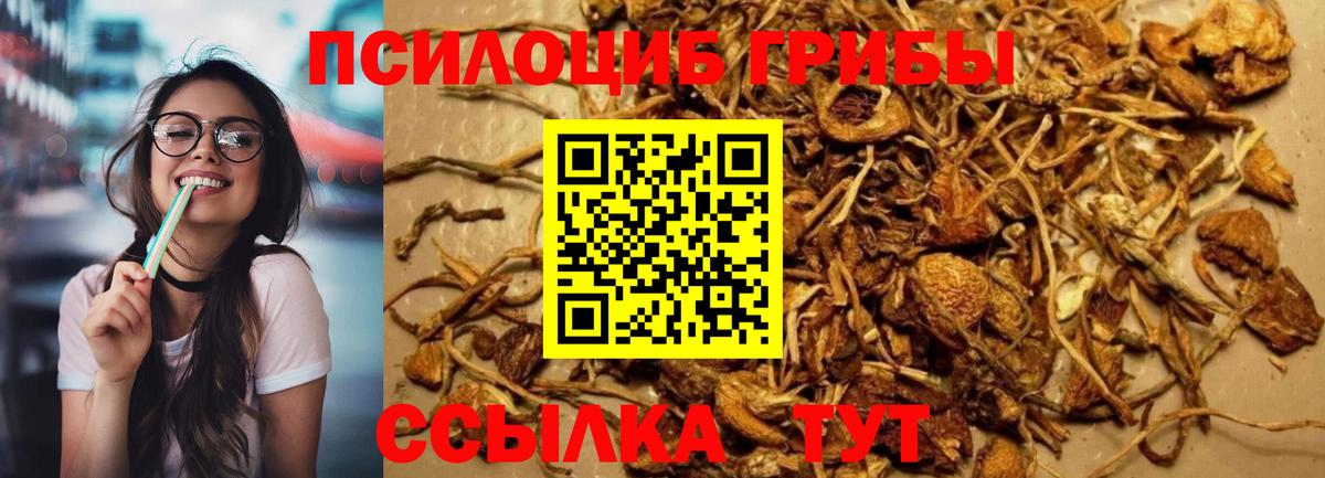 Галлюциногенные грибы ЛСД  Вход с VPN  Кувандык  Псилоцибиновые грибы MAGIC MUSHROOMS 