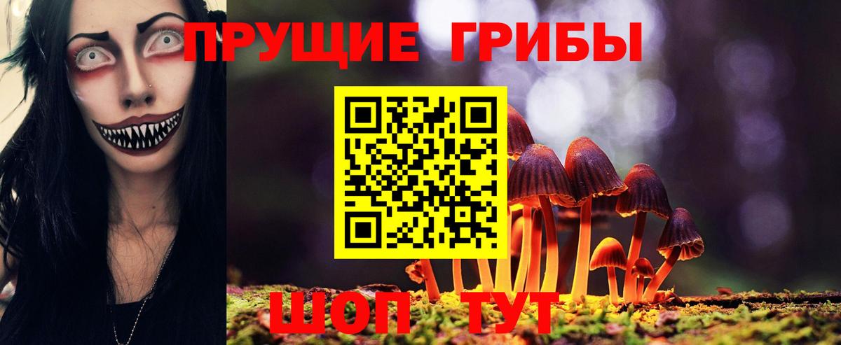 Псилоцибиновые грибы Psilocybe Кувандык
