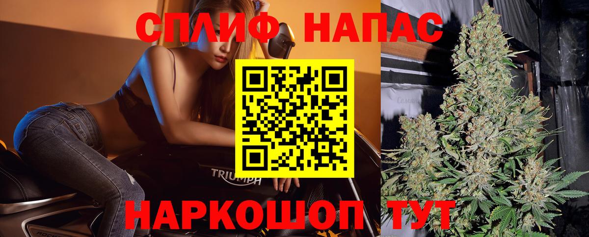 Каннабис OG Kush  Конопля Bruce Banner  Кувандык  Вход с VPN  Каннабис семена 